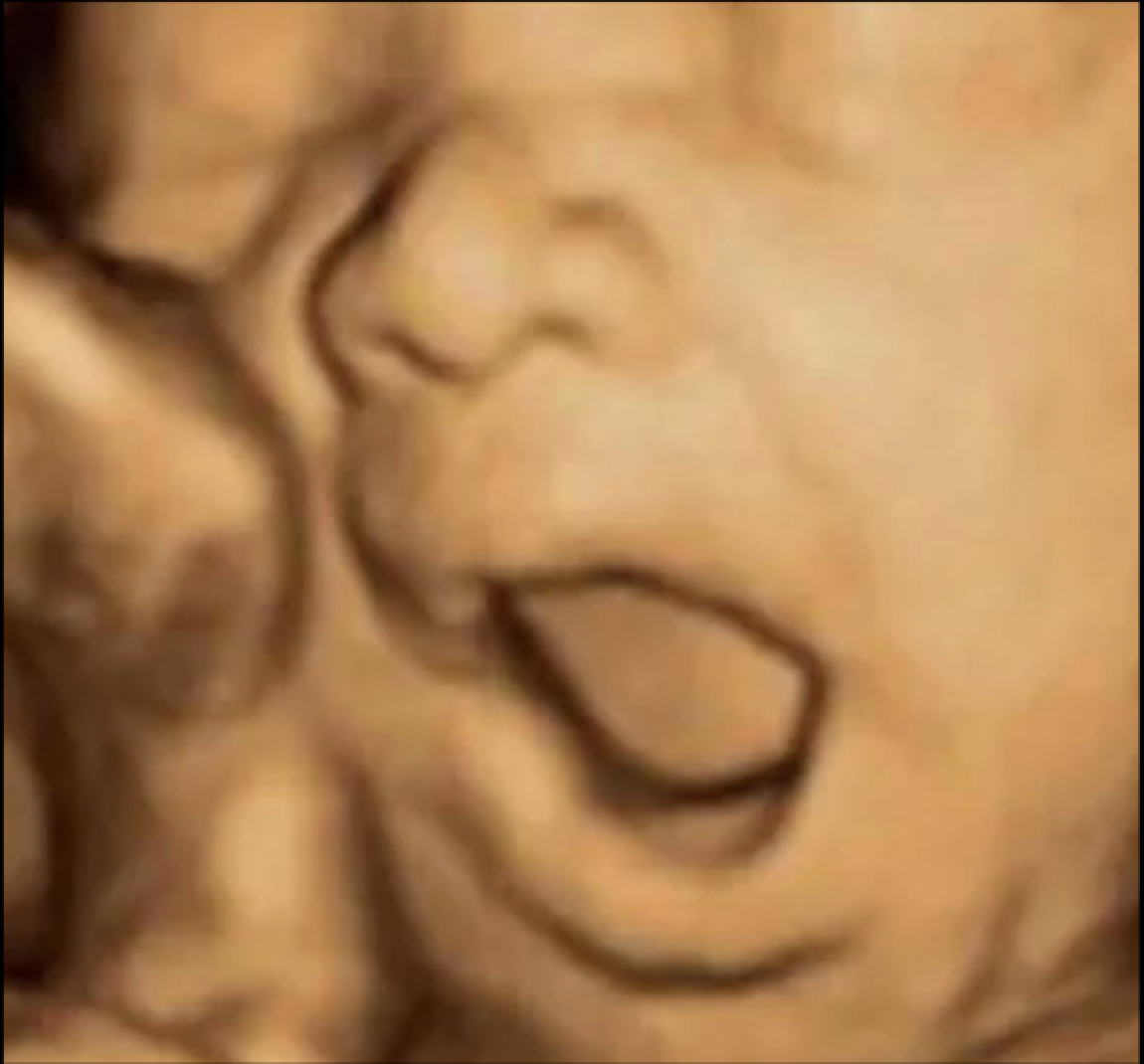 Screenshot 2023-11-27 at 3.27.13 pm